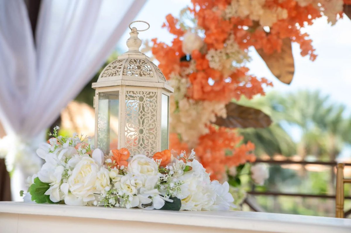 ACOYACuracao's tweet photo. Let our Events Team help you turn ordinary moments into extraordinary memories. 

For bookings or a quote:
W: +5999-662 9910 (WhatsApp)
E: events@acoyacuracao.com
#ACOYACuracao #Curacao #wedding #matrimonio  #destinationwedding #celebratelove #weddingday #weddinginspiration https://t.co/ESRbwjg2LF