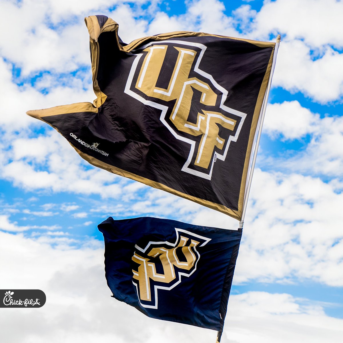 UCF Knights 🌴 tweet media