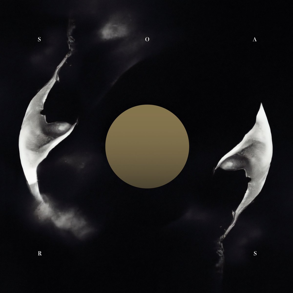 My new album ‘Repeater’ is out now! So happy to finally share this with you all. Really looking forward to hear what you think about it. 

Enjoy ❤️

Listen and order here:

listen.pelagic-records.com/soars