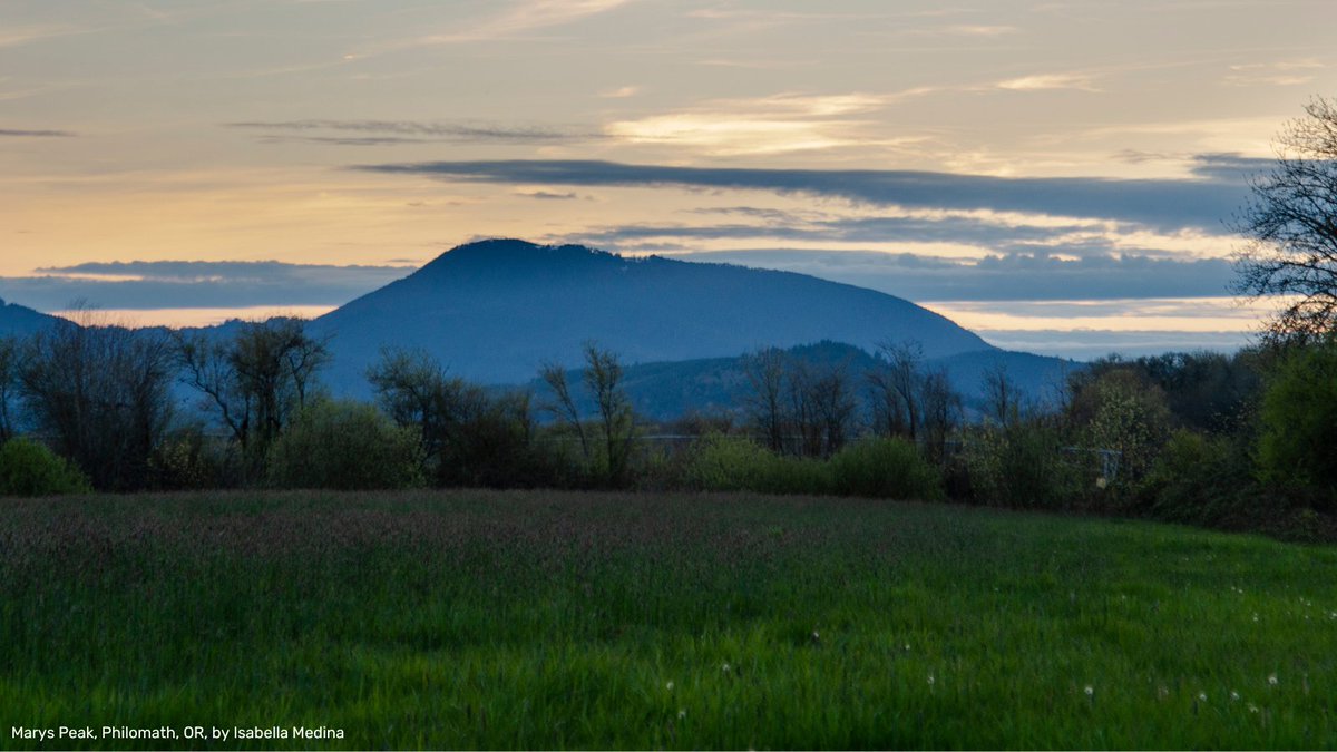 Visit Corvallis tweet media
