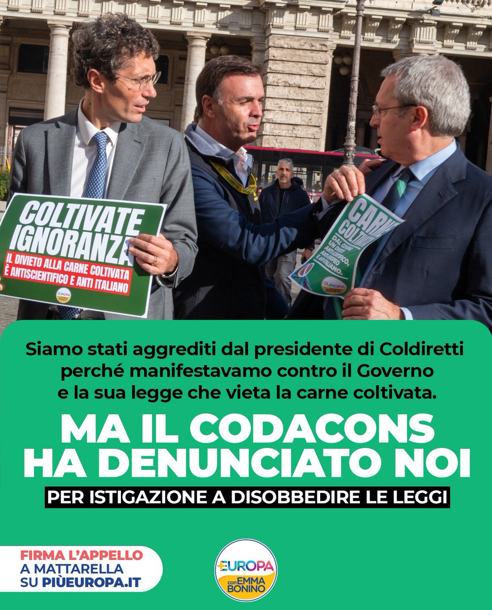 Più Europa tweet media