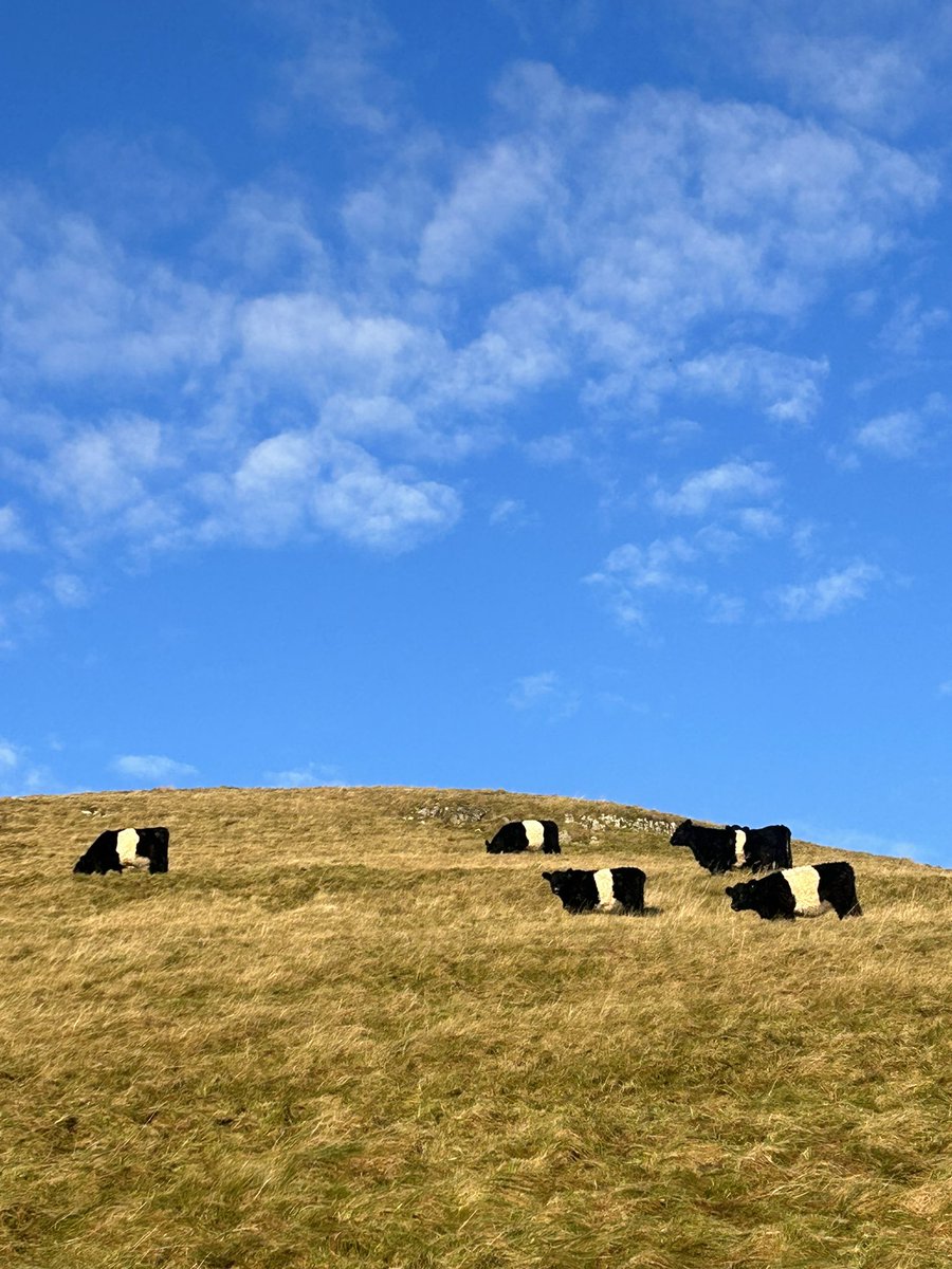 James Rebanks (@herdyshepherd1) on Twitter photo 