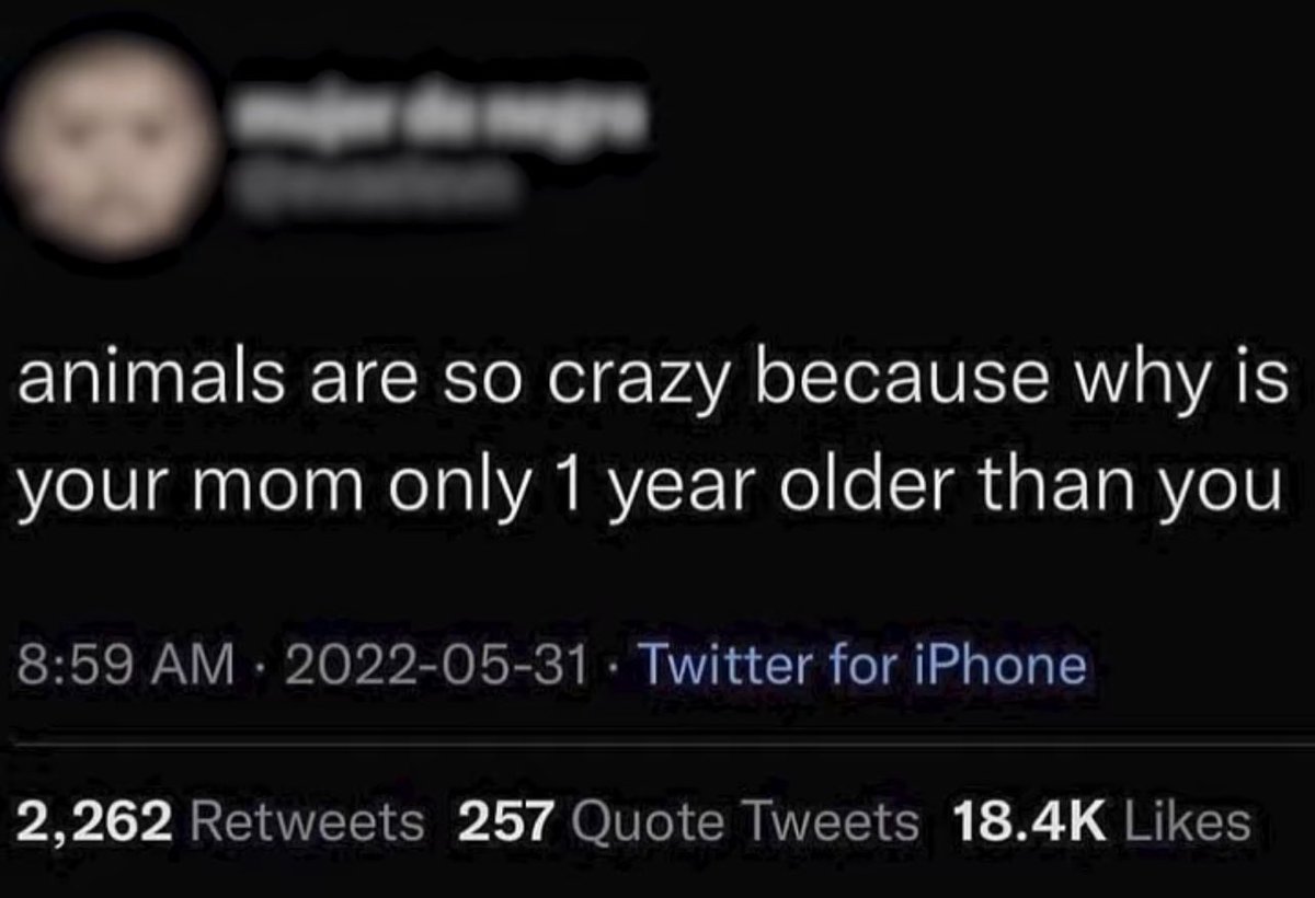 internet hall of fame (@interneth0f) on Twitter photo 