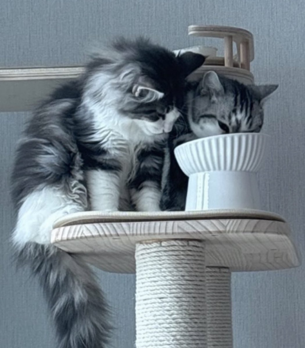 kyuhyjs's tweet image. this pic abt to get a spot on a loona iceberg rn