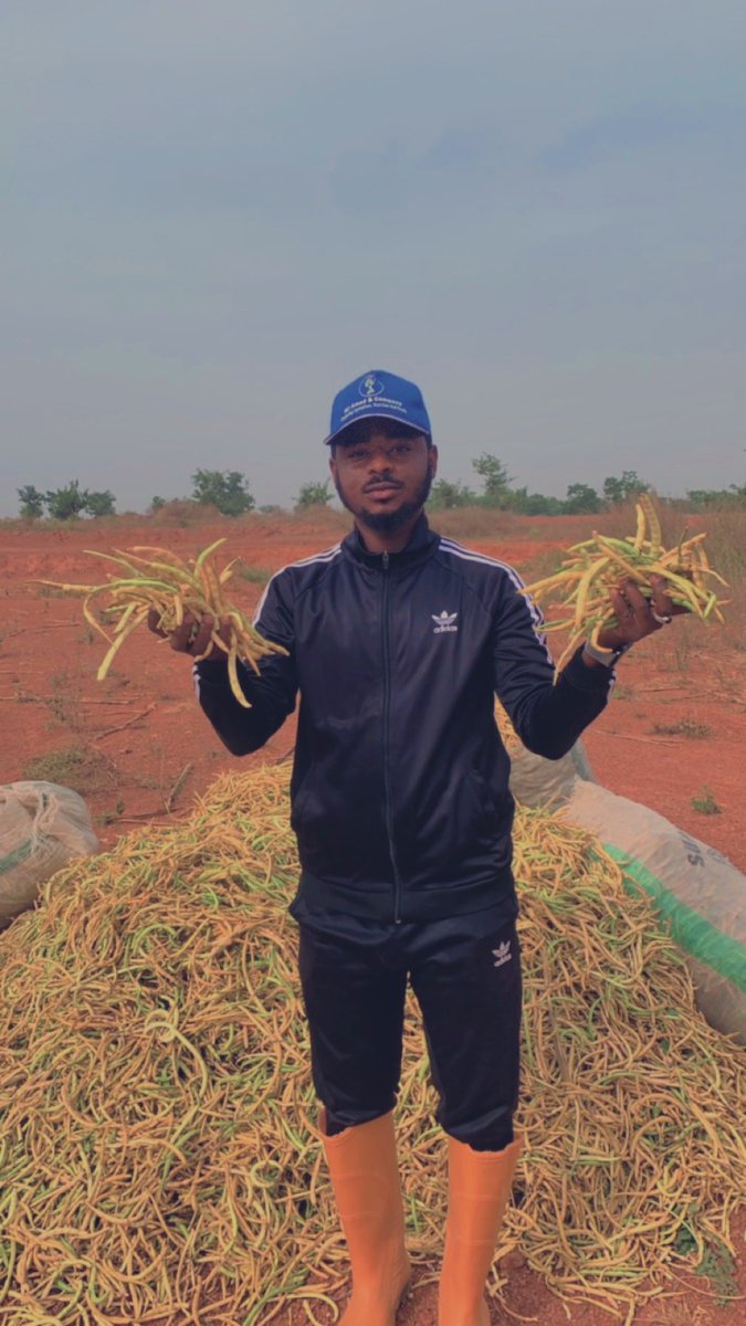 Mallam_jabeer's tweet photo. My day was so hectic as i was busy harvesting my beans 🫘

Consumption to production is our utmost priority. https://t.co/nzmjFroYaK