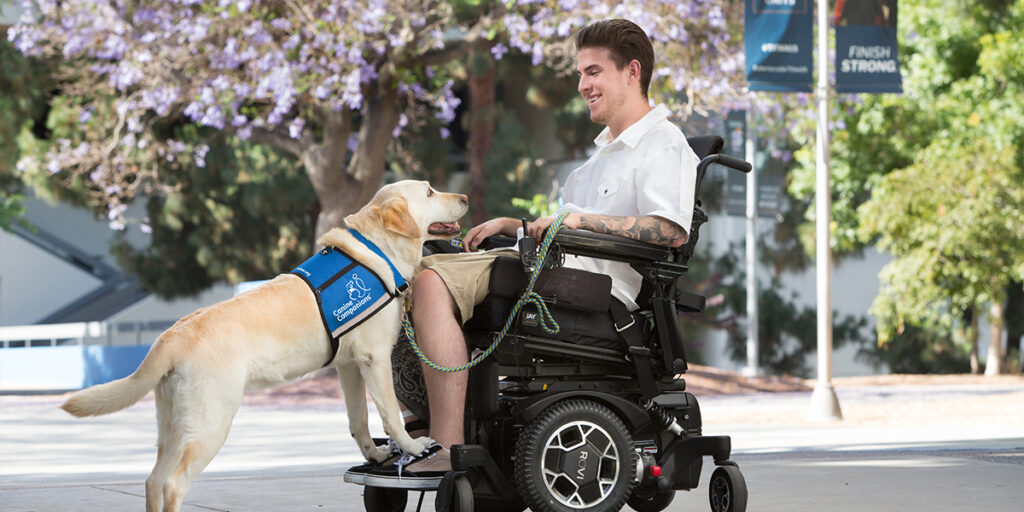 PePuelupe's tweet photo. Canine Companionship:Dogs, loyal and loving, have been companions to humans for centuries. Explore the unique bond between humans and dogs, showcasing the unwavering loyalty and affection that makes them man's best friend. https://t.co/UcL4ymDJcx