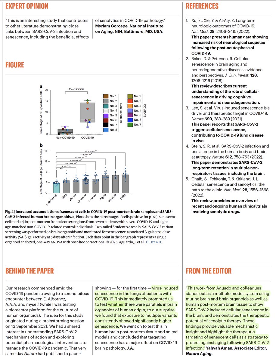 Eric Topol (@erictopol) on Twitter photo Very good summary of these provocative findings that may help treat #LongCovid in the future
nature.com/articles/s4358… <a href="/NatureAging/">Nature Aging</a> Very good summary of these provocative findings that may help treat #LongCovid in the future
nature.com/articles/s4358… <a href="/NatureAging/">Nature Aging</a>