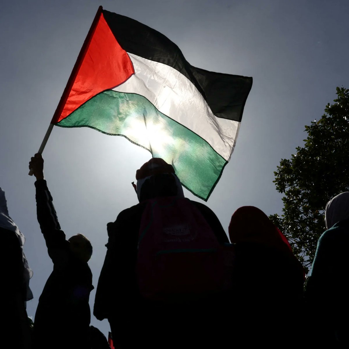 YOURSMEHBOOBSAM's tweet photo. The victory march will continue until the Palestinian flag flies in Jerusalem and in all of Palestine. ...🇵🇸 https://t.co/I8CNhnvFyw
