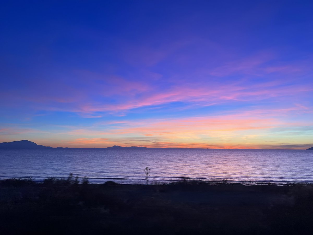 Nazlii737's tweet photo. Bir küçük İzmir meselesi 💜 https://t.co/GBc4oV0es9