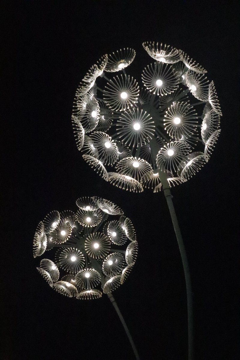 AngleseyAbbeyNT's tweet photo. #AAWinterlights is now open!
Experience the magic every Friday, Saturday and Sunday until 10th December 🎄
🎫 https://t.co/7lzVCU1mpP
📷 NT / Jemma Finch
#helpingnaturethrive #lights #nature #FamilyFun #Christmas #eveningout https://t.co/v6Yu1LdIH4