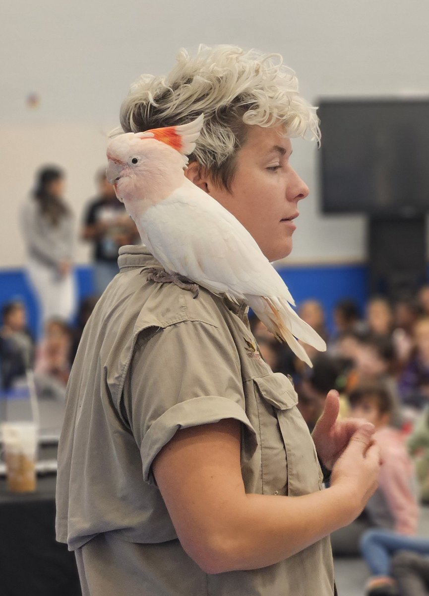 Thank you <a href="/barnhill_ed/">Barn Hill Preserve</a> for sharing your animals with us today!  We all looooved meeting them!  <a href="/HorneElementary/">Horne Elementary</a> <a href="/maria_alv19/">Maria Alvarado</a> <a href="/misstrue1123/">ms.true</a>