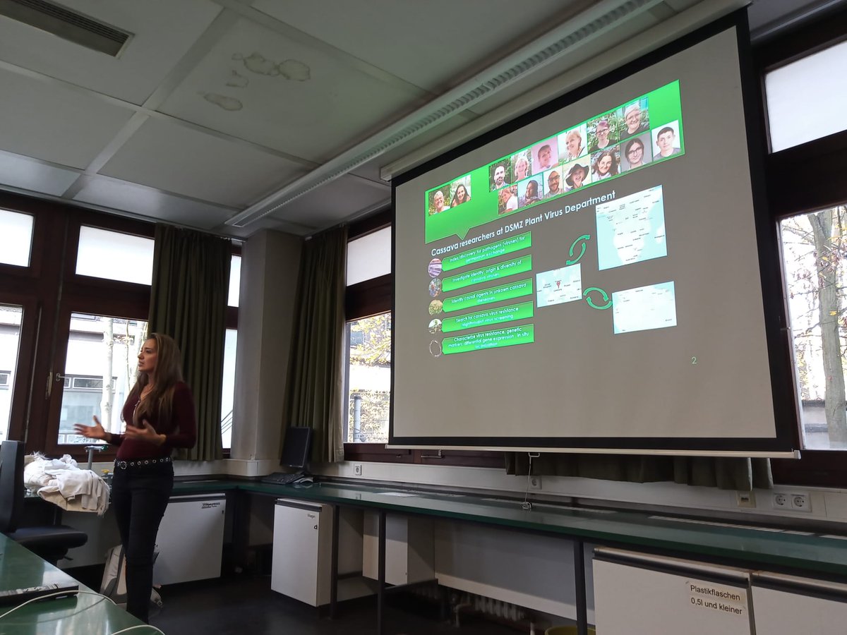 Boas Pucker (@boas_pucker) on Twitter photo Today, <a href="/SamarSheat/">Samar Sheat, Ph.D.🌿</a> visited us at <a href="/tuBraunschweig/">TU Braunschweig</a> and informed students about the exciting Cassava research at <a href="/Leibniz_DSMZ_en/">Leibniz-Institut DSMZ</a> <a href="/JKI_Bund/">Julius Kühn-Institut</a>. Outstanding opportunity for students to make an impact with bioinformatics & molecular biology! #cassava Today, <a href="/SamarSheat/">Samar Sheat, Ph.D.🌿</a> visited us at <a href="/tuBraunschweig/">TU Braunschweig</a> and informed students about the exciting Cassava research at <a href="/Leibniz_DSMZ_en/">Leibniz-Institut DSMZ</a> <a href="/JKI_Bund/">Julius Kühn-Institut</a>. Outstanding opportunity for students to make an impact with bioinformatics & molecular biology! #cassava