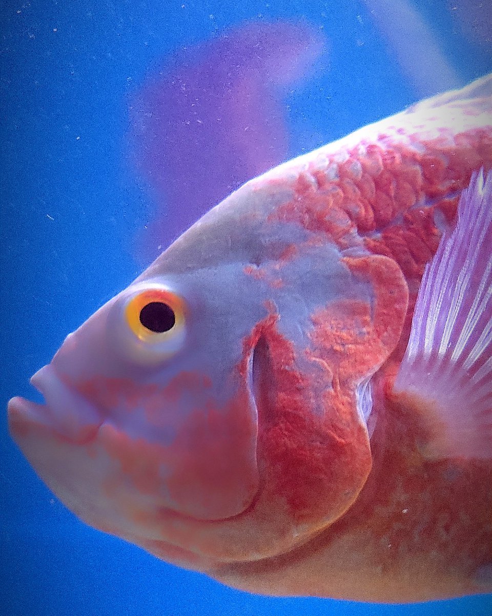 RASHEEDent84809's tweet image. #Mypic
#Mclick