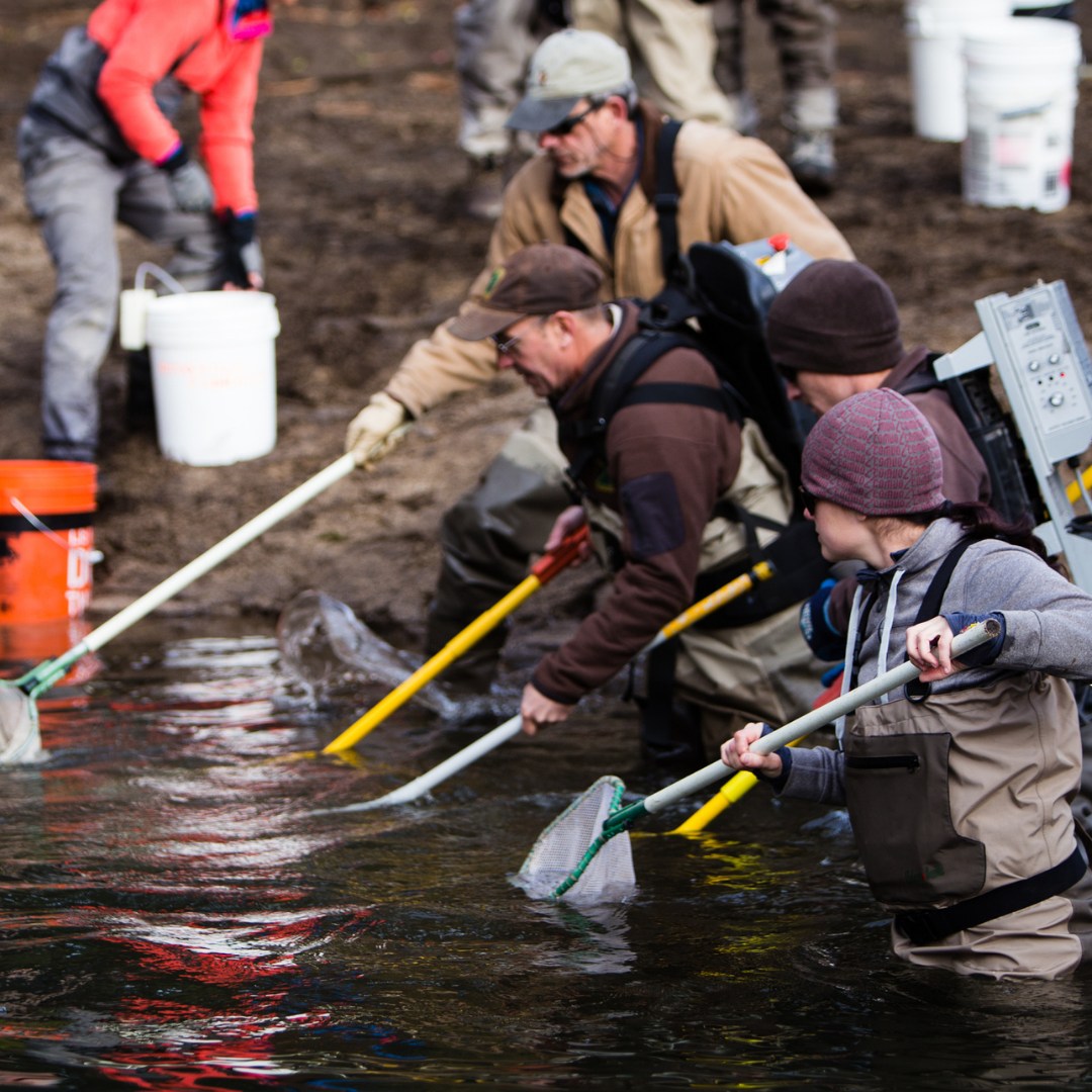 Follow the Water tweet media