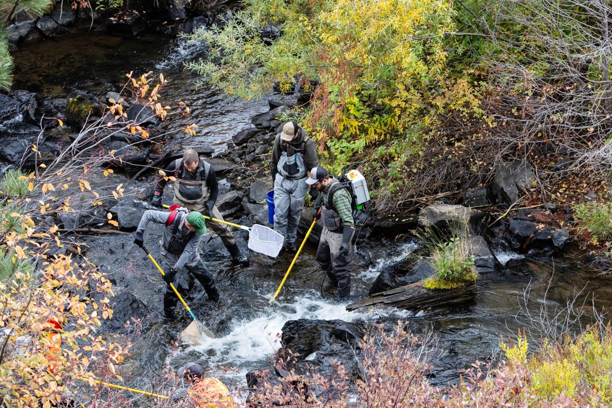 Follow the Water tweet media