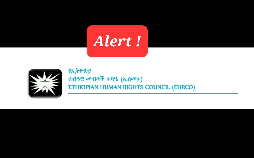 Dan Yirga HRD (@danyirgahrd) on Twitter photo 2/2 - መንግስት በሰብዓዊ መብቶች ተሟጋቾች ላይ እያደረሰ ያለውን ጫና እና ጥቃቶችን ማቆም አለበት ለስራቸውም እውቅናና ጥበቃ የማድረግ ግዴታውን በአግባቡ ሊወጣ ይገባል። <a href="/hrcoethio/">Ethiopia Human Rights Council</a> <a href="/CenterEHRD/">EHRDC</a> <a href="/MaryLawlorhrds/">Mary Lawlor UN Special Rapporteur HRDs</a> <a href="/EthioHRC/">Ethiopian Human Rights Commission (EHRC) - ኢሰመኮ</a> <a href="/YaHabte/">Yared Hailemariam</a> <a href="/HoascfOrg/">The Horn of Africa Civil Society Forum</a> <a href="/Setaweet1/">Setaweet Movement</a> <a href="/CEHRO1/">CEHRO Ethiopia</a> 2/2 - መንግስት በሰብዓዊ መብቶች ተሟጋቾች ላይ እያደረሰ ያለውን ጫና እና ጥቃቶችን ማቆም አለበት ለስራቸውም እውቅናና ጥበቃ የማድረግ ግዴታውን በአግባቡ ሊወጣ ይገባል። <a href="/hrcoethio/">Ethiopia Human Rights Council</a> <a href="/CenterEHRD/">EHRDC</a> <a href="/MaryLawlorhrds/">Mary Lawlor UN Special Rapporteur HRDs</a> <a href="/EthioHRC/">Ethiopian Human Rights Commission (EHRC) - ኢሰመኮ</a> <a href="/YaHabte/">Yared Hailemariam</a> <a href="/HoascfOrg/">The Horn of Africa Civil Society Forum</a> <a href="/Setaweet1/">Setaweet Movement</a> <a href="/CEHRO1/">CEHRO Ethiopia</a>