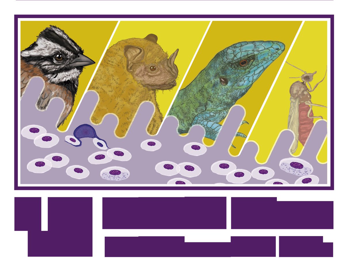We are excited to announce the VI International Conference on Malaria and other blood Parasites of Wildlife! This event will be held from November 26th to 29th of 2024 at the prestigious University of Antioquia, located in Medellin, Colombia. It will be hosted by <a href="/FCENUdeA/">Facultad de Ciencias Exactas y Naturales UdeA</a>
<a href="/UdeA/">Universidad de Antioquia</a>