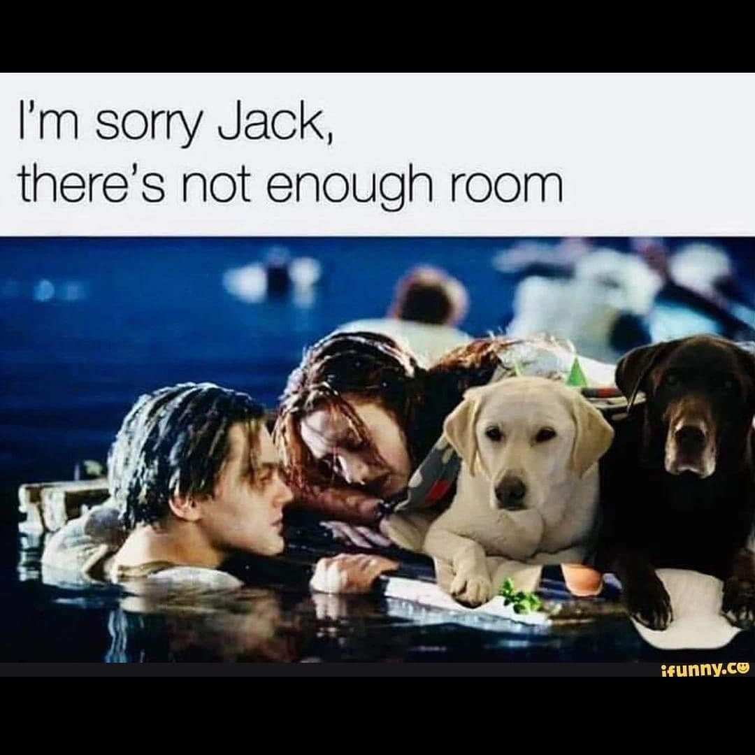 jon watson 🇬🇧❤🇺🇦 (@myblue90) on Twitter photo 