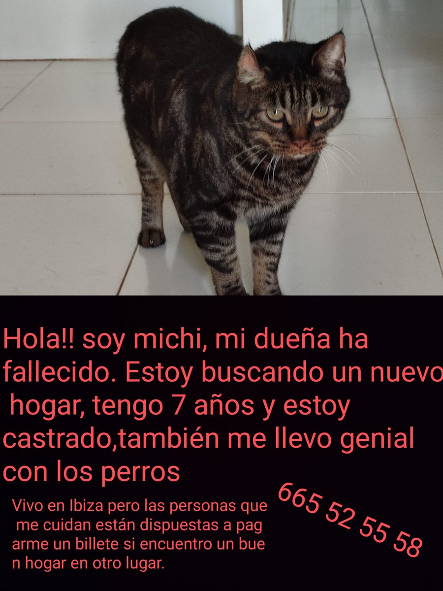 Zarcness (@zarcness) on Twitter photo 