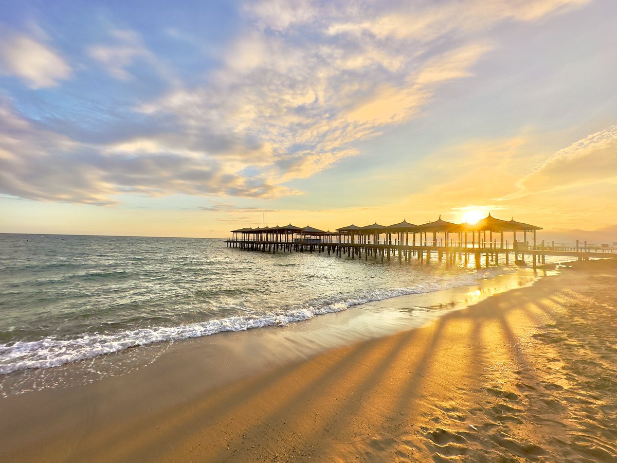 LJ Donnelly (@leonadonnelly) on Twitter photo 