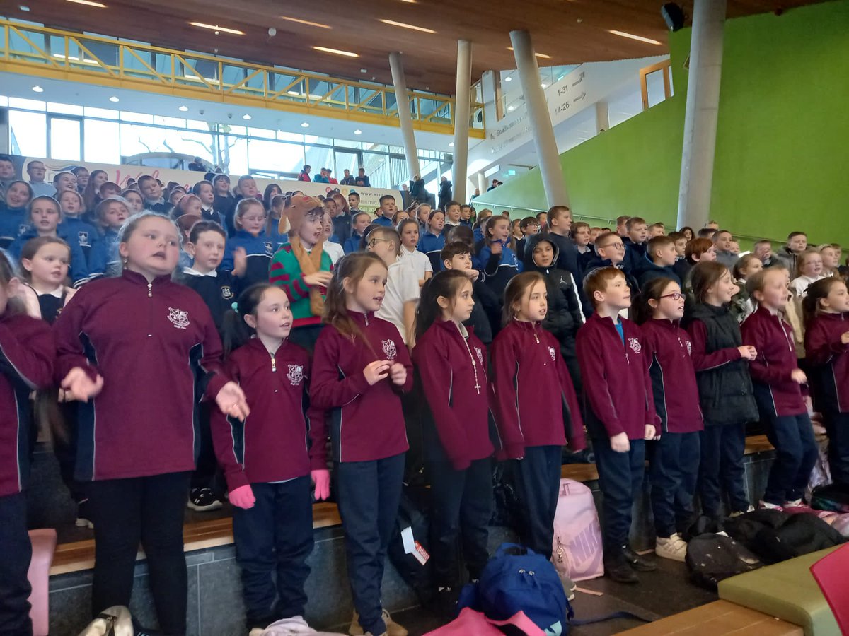 TED Project Mary Immaculate College tweet media