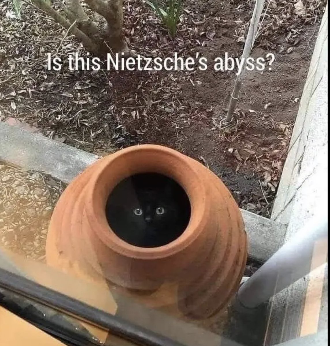 malarizzzle's tweet photo. 🧐🧐 https://t.co/j5GMSE2rvB