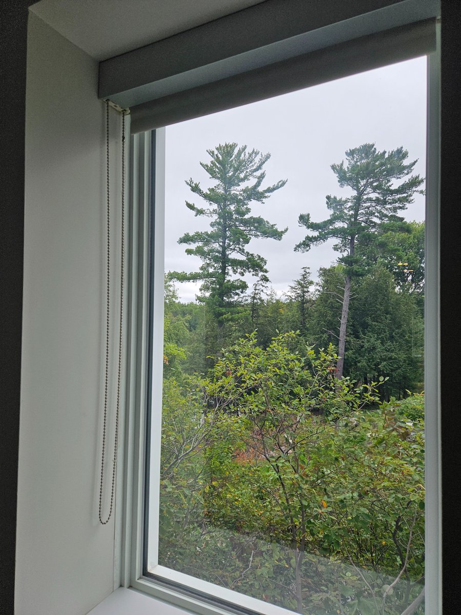 Cottage country window views