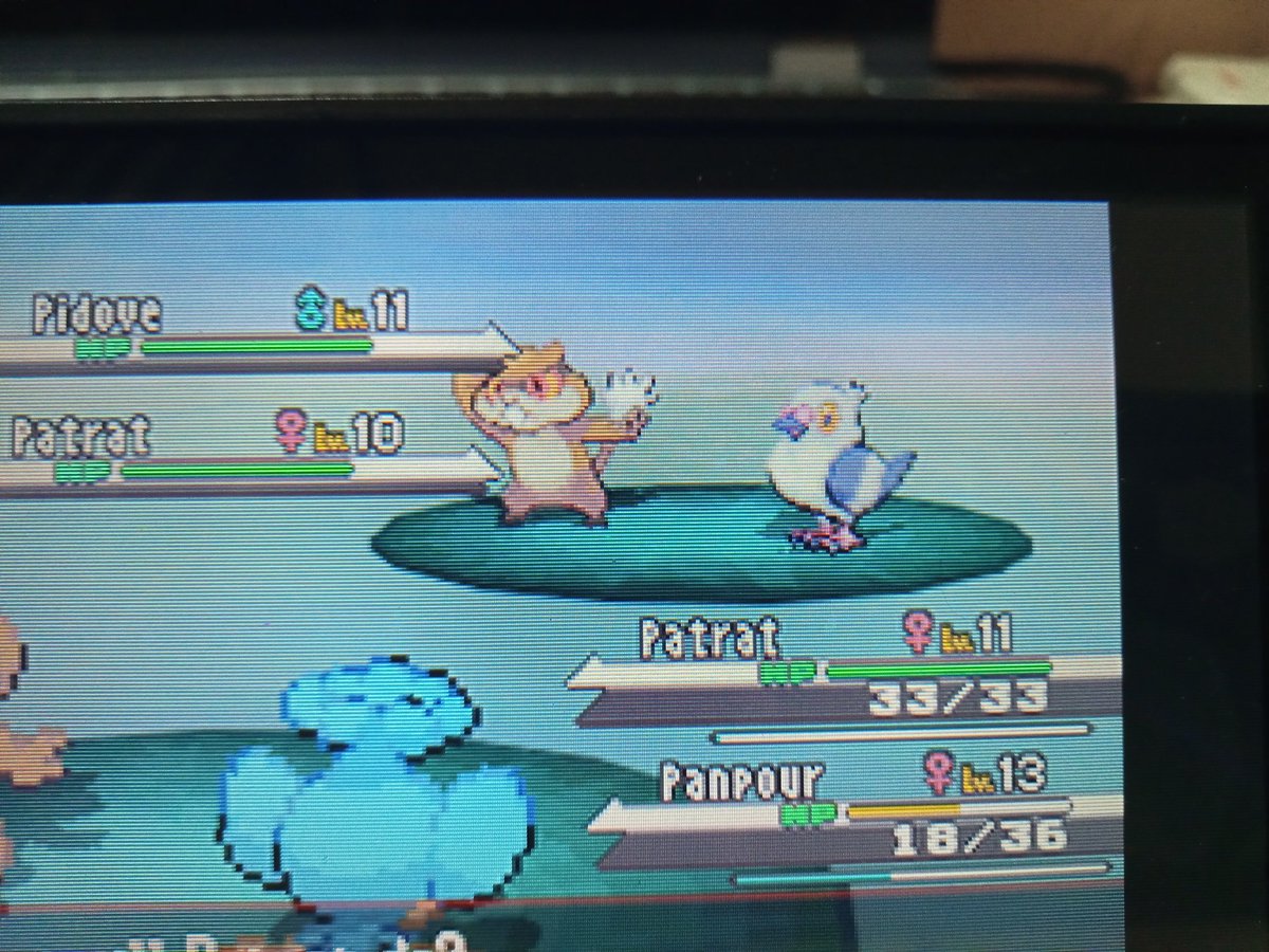 okeitokei's tweet photo. Shiny Pidove after 1,809 REs!! 
2nd member for my Black DTQ 😭

Going back to the dreamyard for munna 🫡 https://t.co/fIVQ7nZAqf