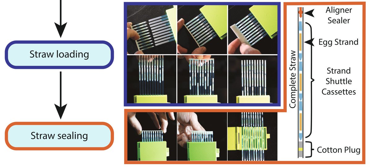 New pub in <a href="/HardwareX1/">HardwareX</a>! #Openhardware to assist in preparation, standardization, handling, processing, &amp; packaging of bio samples into existing #cryopreservation straw platforms. #Aplysia egg strands as an example 🐌<a href="/LSUAgCenter/">LSU AgCenter</a> <a href="/AGGRC_LSUAC/">AGGRC</a> #forthesnails sciencedirect.com/science/articl…