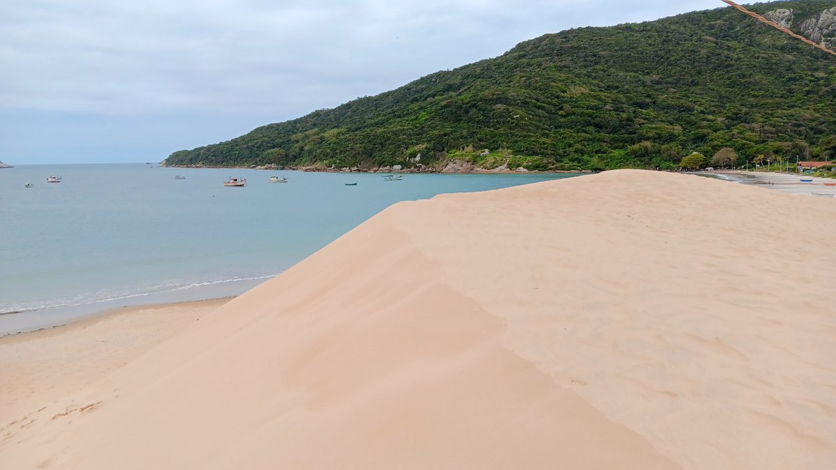 TsunamiSand's tweet photo. IGCP725 in the #dunefields at #Ingleses and #Joaquina #SantaCatarina #Brazil.
#sand #wind #aeolian #migratingdunes #coastalgeology @IGCP725 https://t.co/I8p3Lpgogs