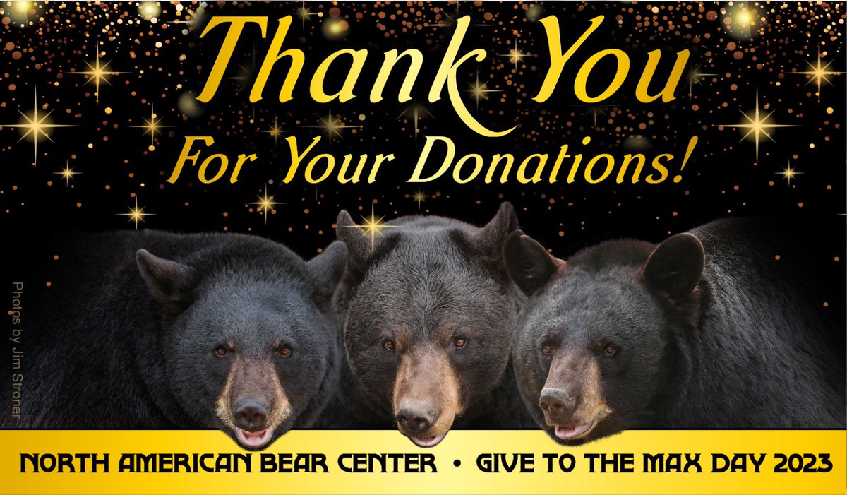 North American Bear Center tweet media