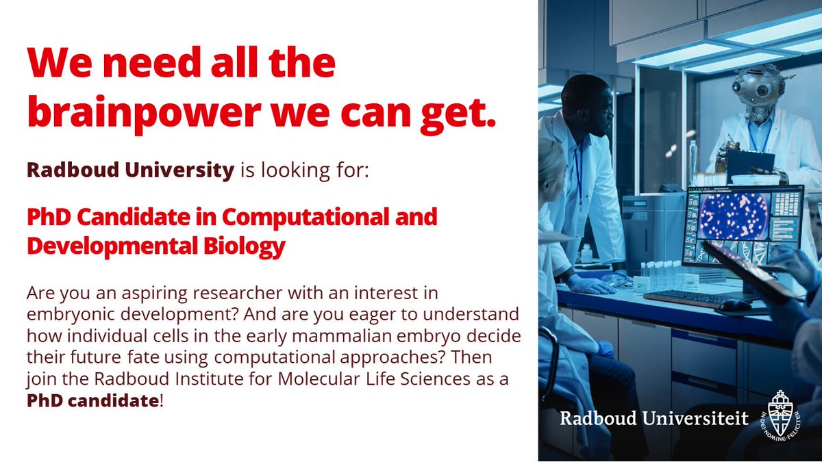 We have a funded PhD position in my team <a href="/RIMLS_Science/">RIMLS-Science</a>, focusing on computational biology &amp; embryo development. NWO XL collaboration w/ NKI  <a href="/tinekelenstra/">Tineke Lenstra</a> <a href="/deWitLab/">deWitLab</a> and UvA <a href="/wntlab/">Renée van Amerongen</a> Marten Postma. Interested? #jebentnodig. Apply here before Dec 10th 2023: ru.nl/en/working-at/…