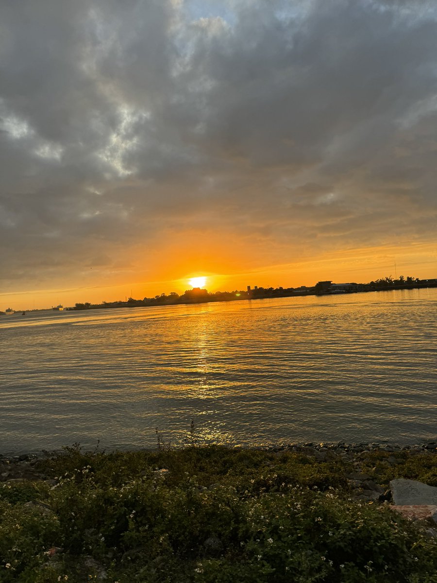 EkremHamid's tweet photo. Proud to have ran my first ever 5K at @aapmr! Literally breathtaking 🏃‍♂️😮‍💨 views! Thanks to @mrdodurgali for motivating me to come out today 🙌🏻🏃🏃‍♀️🏃‍♂️ Congrats to everyone who came out and ran! #AAPMR23 https://t.co/8eWcQB4eC3