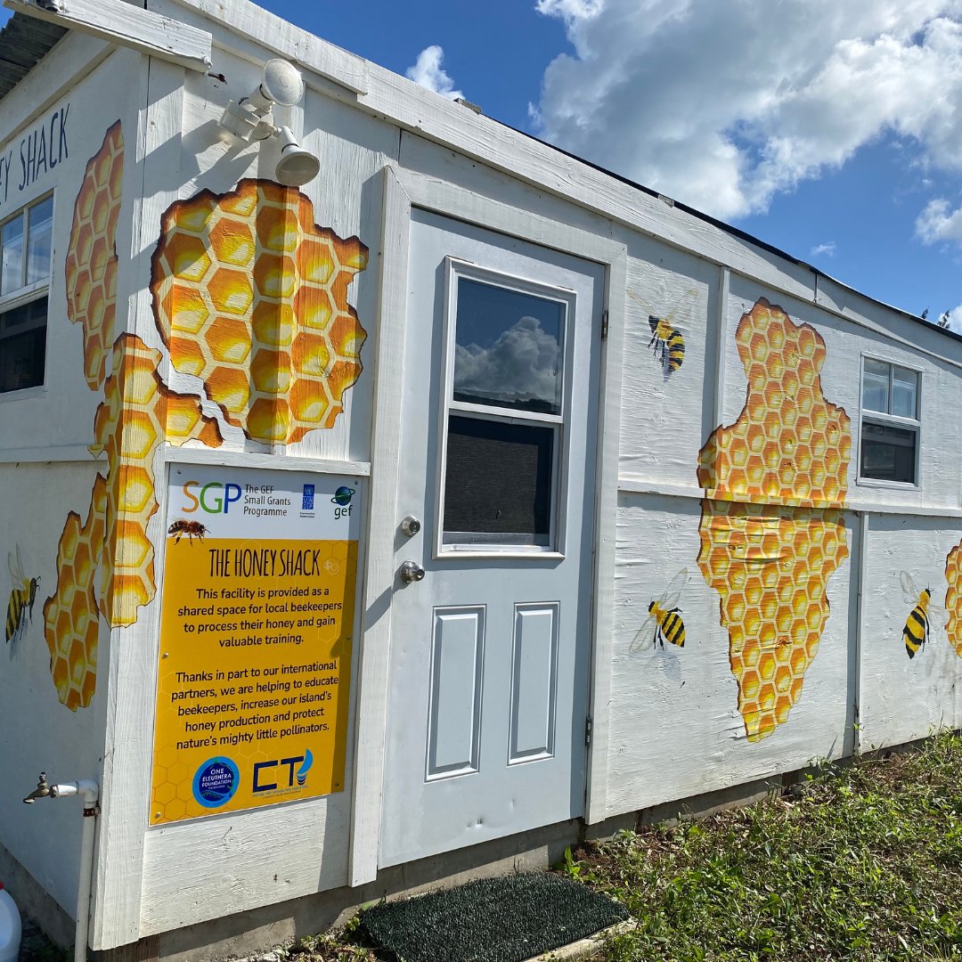 OneEleuthera's tweet image. Located on the Farm at CTI in Rock Sound, our Honey Shack is a nifty solar-powered building and FREE resource outfitted with equipment for Eleuthera's beekeepers to harvest &amp;amp; bottle their honey!  'Lutra Honey is a seasonal product of our very own hives at CTI. #Beeprotection #OEF