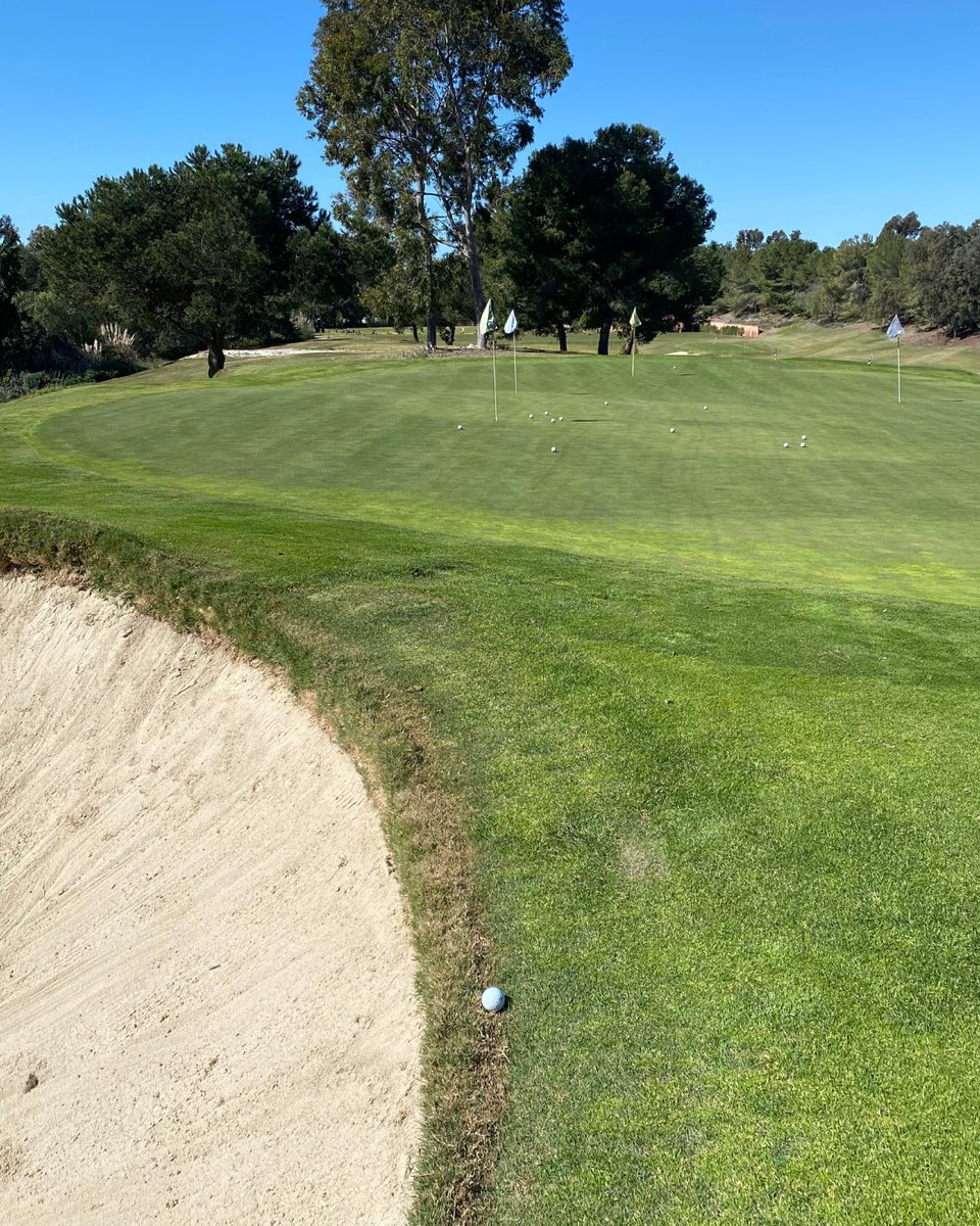 Me and My Golf tweet media