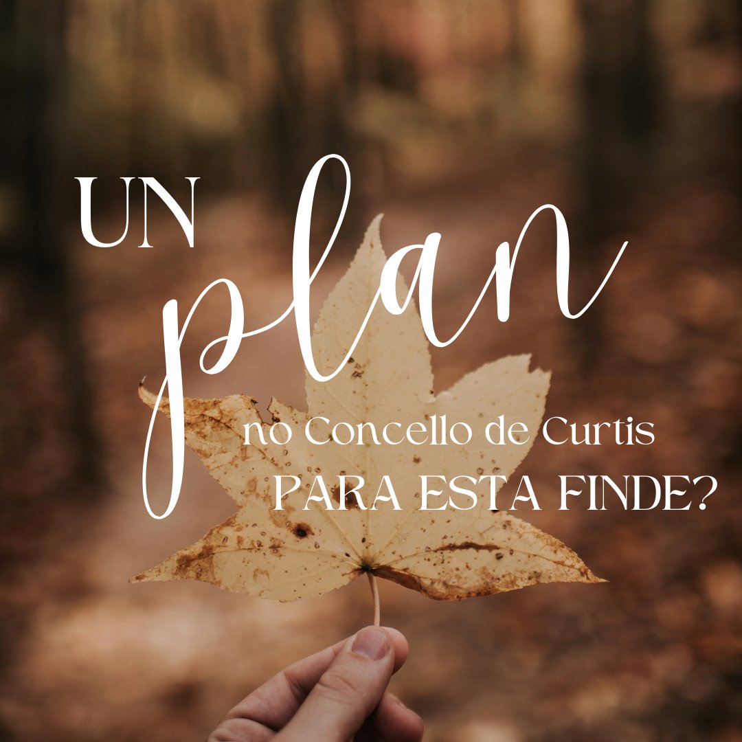 ConcelloCurtis's tweet photo. 📷Aínda non tes plan para esta finde?
📷Aquí che deixamos 6 plans estupendos para disfrutar desta fin de semana no municipio!
📷Agardámoste!
#concellodecurtis #cultura #teatro #comercio #hosteleria #feira https://t.co/XqzmQ2HZ97