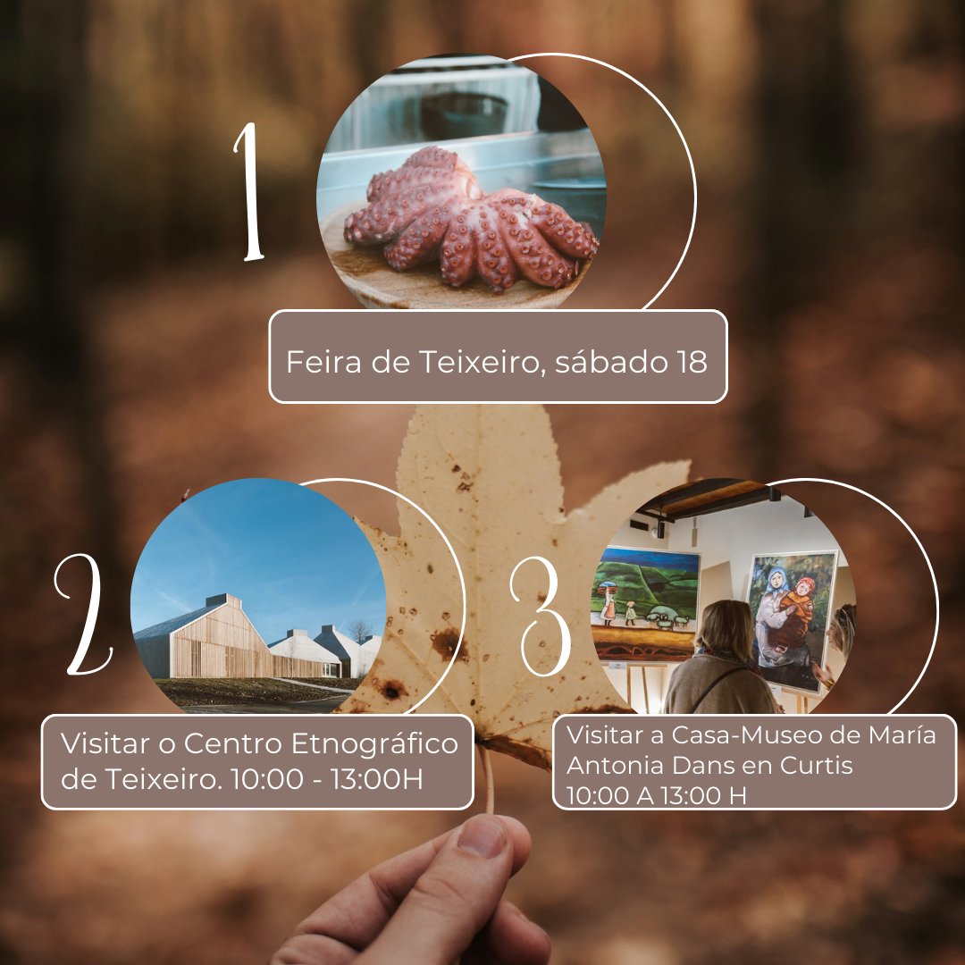 ConcelloCurtis's tweet photo. 📷Aínda non tes plan para esta finde?
📷Aquí che deixamos 6 plans estupendos para disfrutar desta fin de semana no municipio!
📷Agardámoste!
#concellodecurtis #cultura #teatro #comercio #hosteleria #feira https://t.co/XqzmQ2HZ97