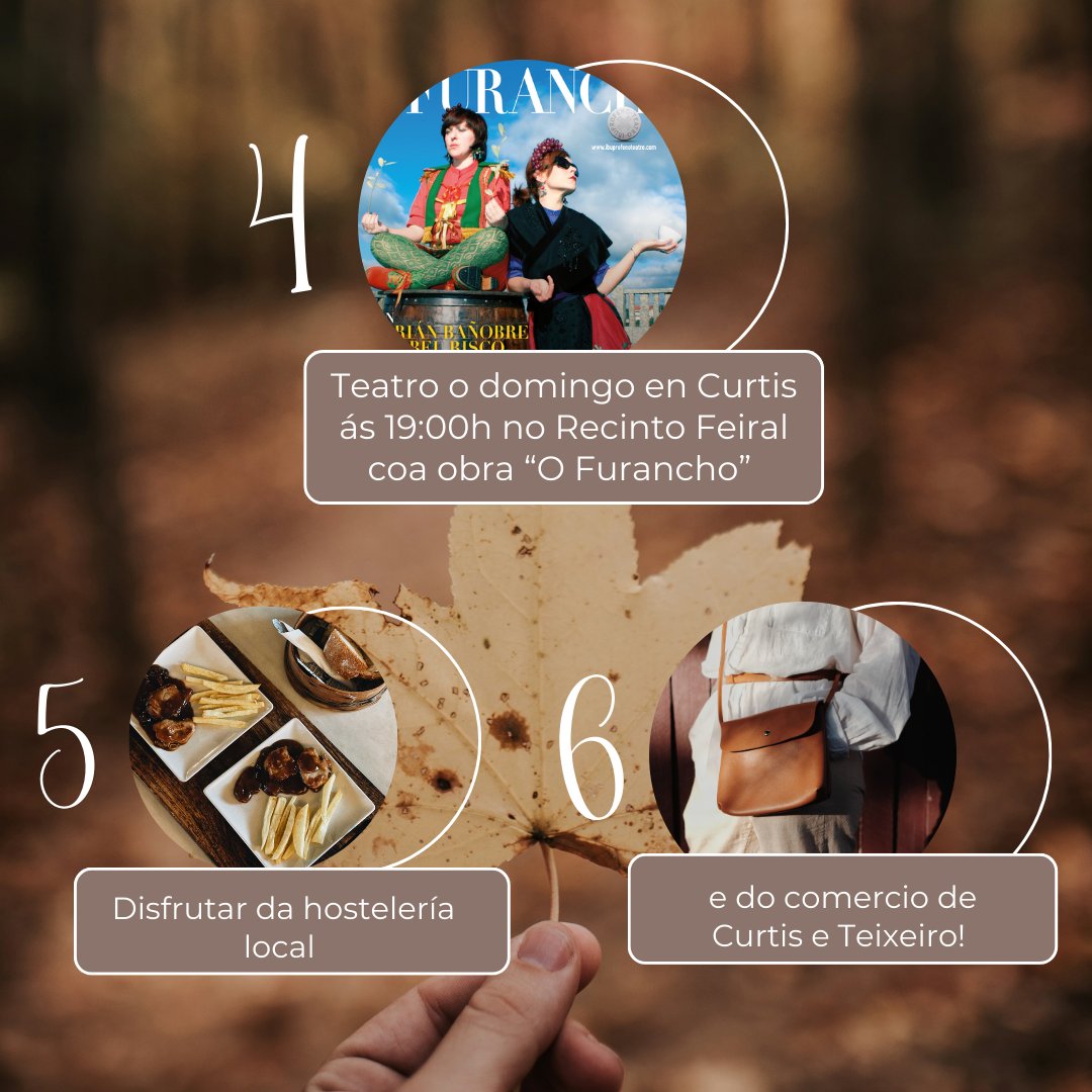 ConcelloCurtis's tweet photo. 📷Aínda non tes plan para esta finde?
📷Aquí che deixamos 6 plans estupendos para disfrutar desta fin de semana no municipio!
📷Agardámoste!
#concellodecurtis #cultura #teatro #comercio #hosteleria #feira https://t.co/XqzmQ2HZ97