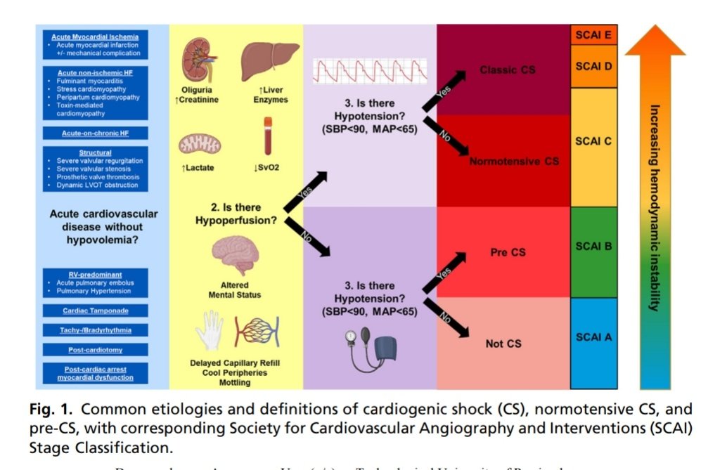 Sociedad de Medicina de Emergencias de la Laguna tweet media