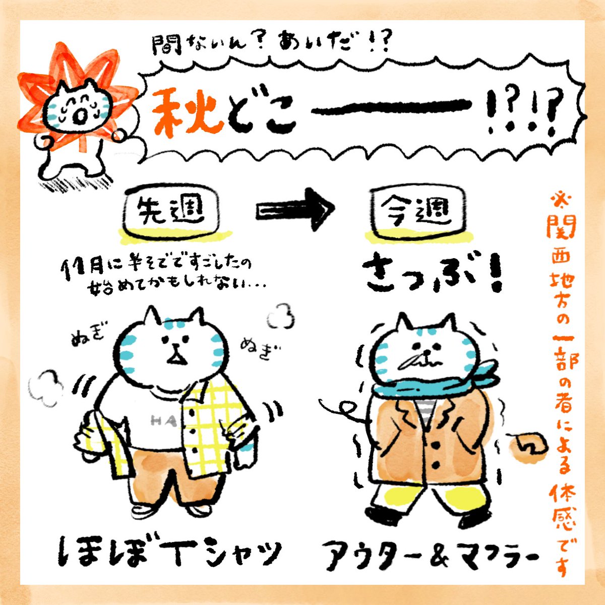 goronyan_mw's tweet photo. 今週の心の声🍂
11月に半袖はさすがに人生初

#むらさとごと
#秋どこいった https://t.co/QmpvWPZ21A