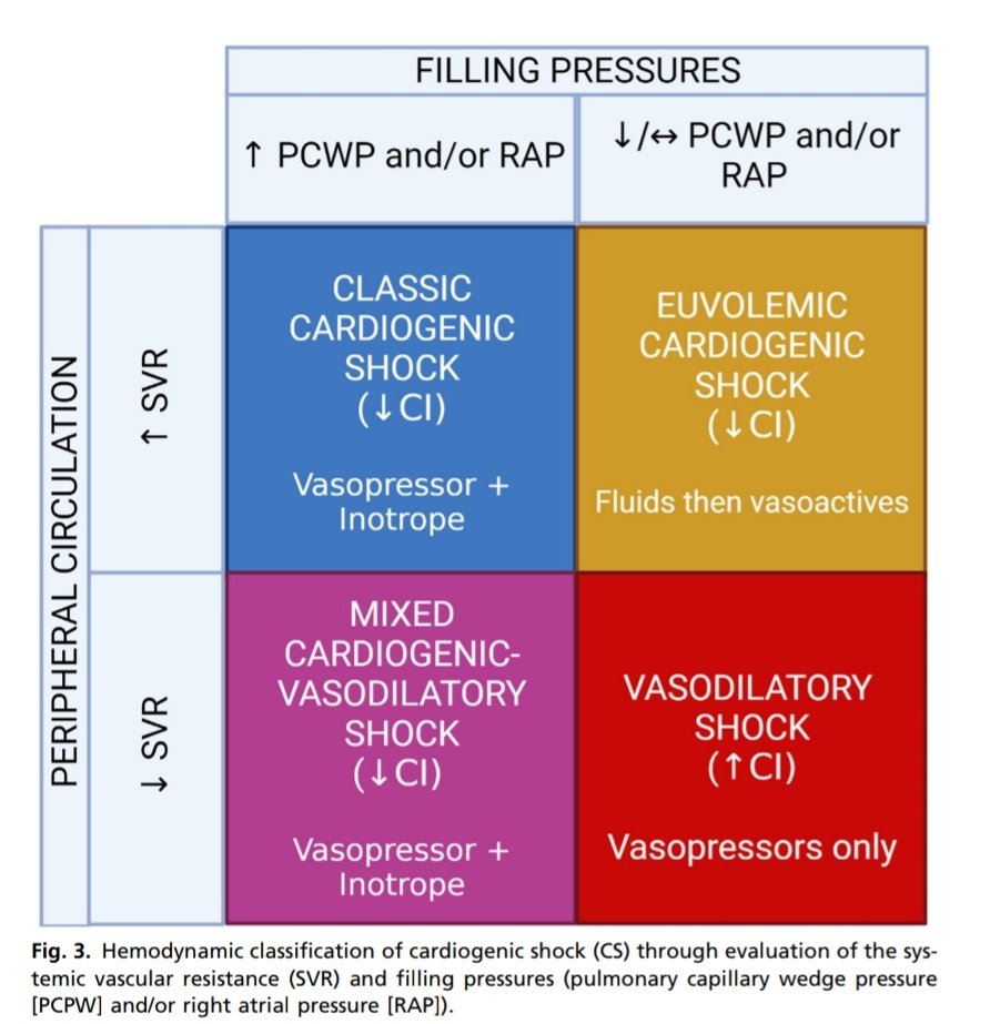 Sociedad de Medicina de Emergencias de la Laguna tweet media