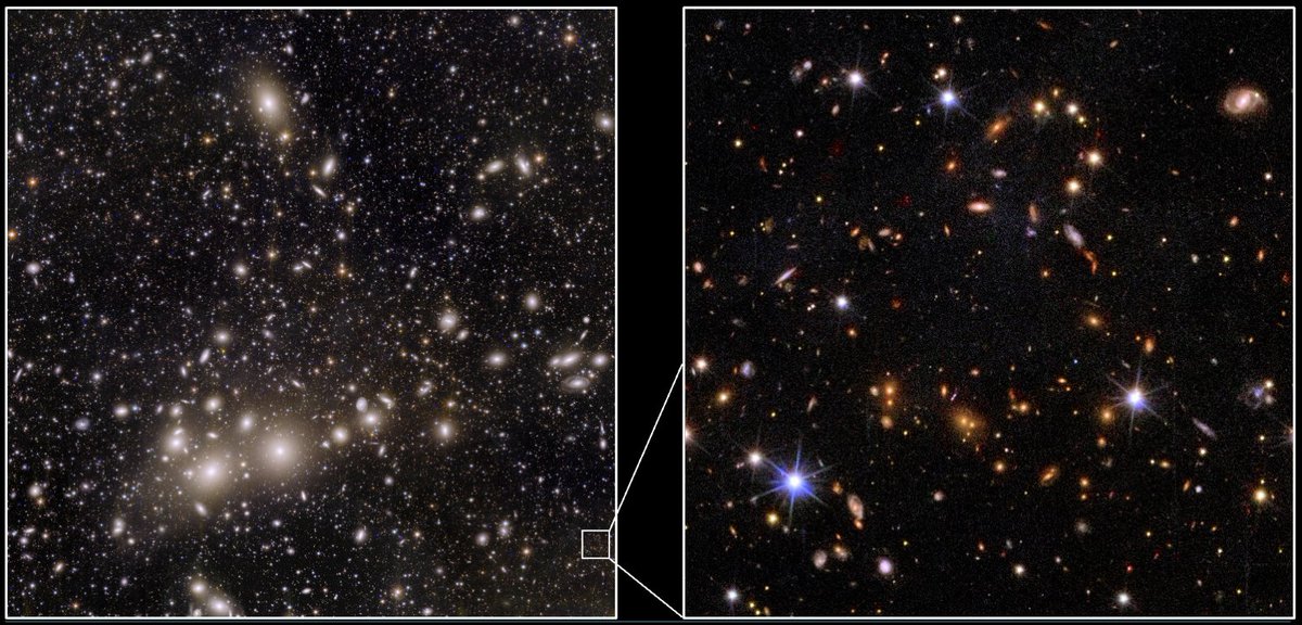 Our most humbling image of the Universe.
Look at this zoom of #Euclid's view of the Perseus cluster.
Every little faint speck you see is a galaxy.
Up to 100s of billions of stars.
Each.
In that tiny patch of sky.
Some are billions of yrs in space and time away.
Cosmic. Scale.