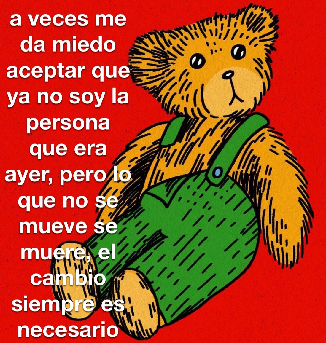 conoloracigarro's tweet photo. a veces 🐻 https://t.co/slKTr2FcJV