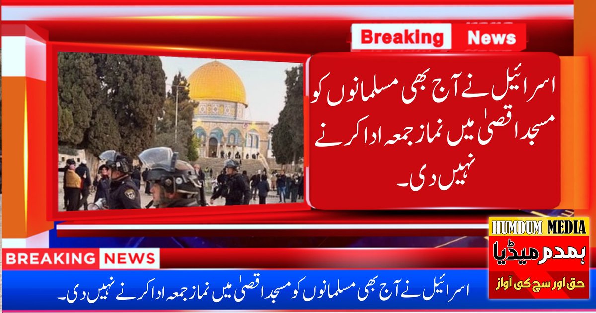 HUMDUM MEDIA tweet media
