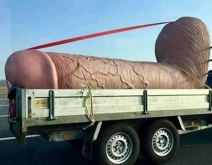 CanLocals's tweet image. Someone is having a major party this weekend! 🤣🤣
.
#offencivememes #offensive #edgyhumor #edgymemes