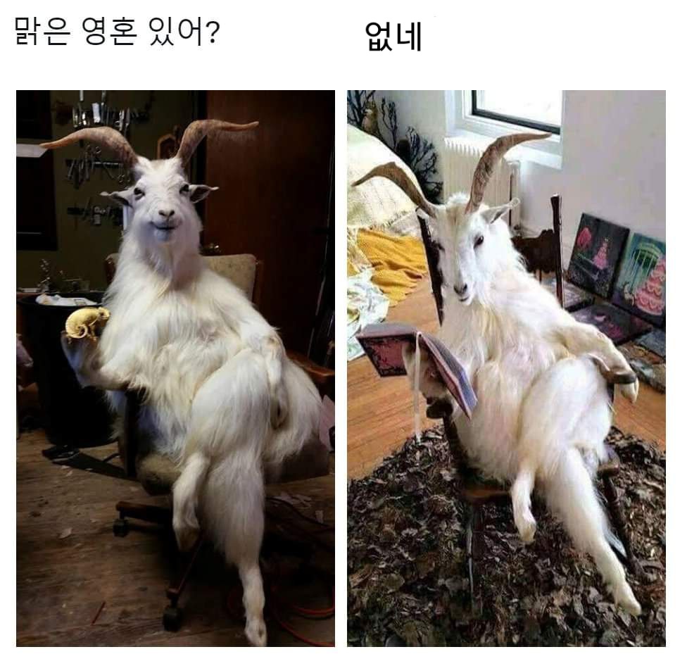 혼자보긴 아까운 트윗 tweet media