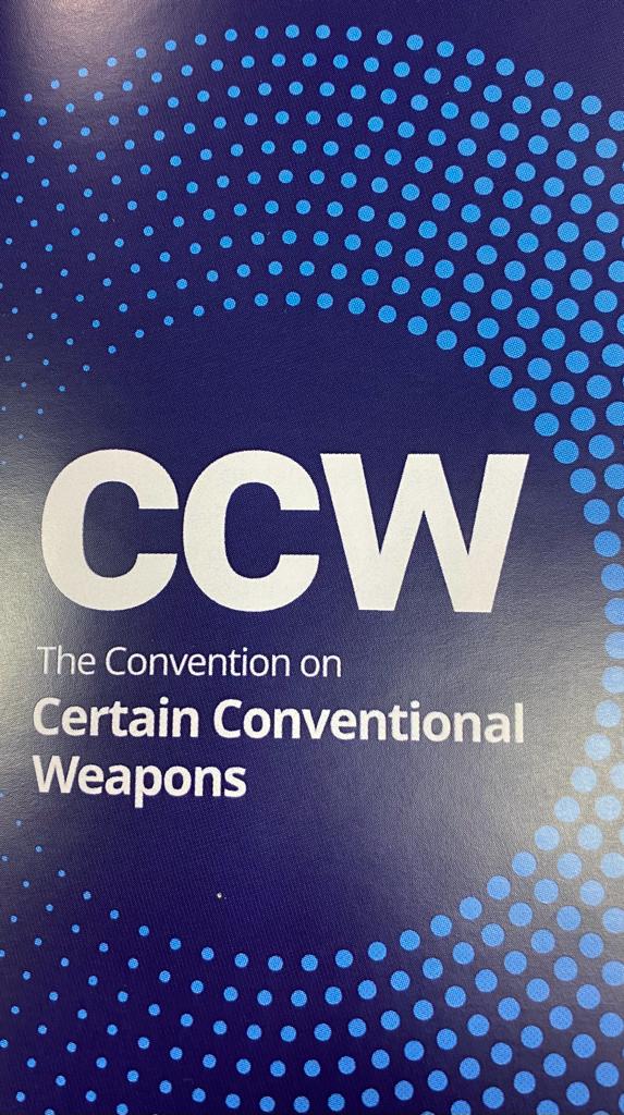 🇪🇸 reiterates it's commitment on #CCWUN and its Protocols and emphasizes the importance to continue the efforts done by the Group of Government Experts in the area of lethal autonomous weapons systems with a strong mandate #GGEonLAWS #disarmament