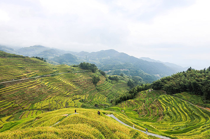 Beijing Review tweet media