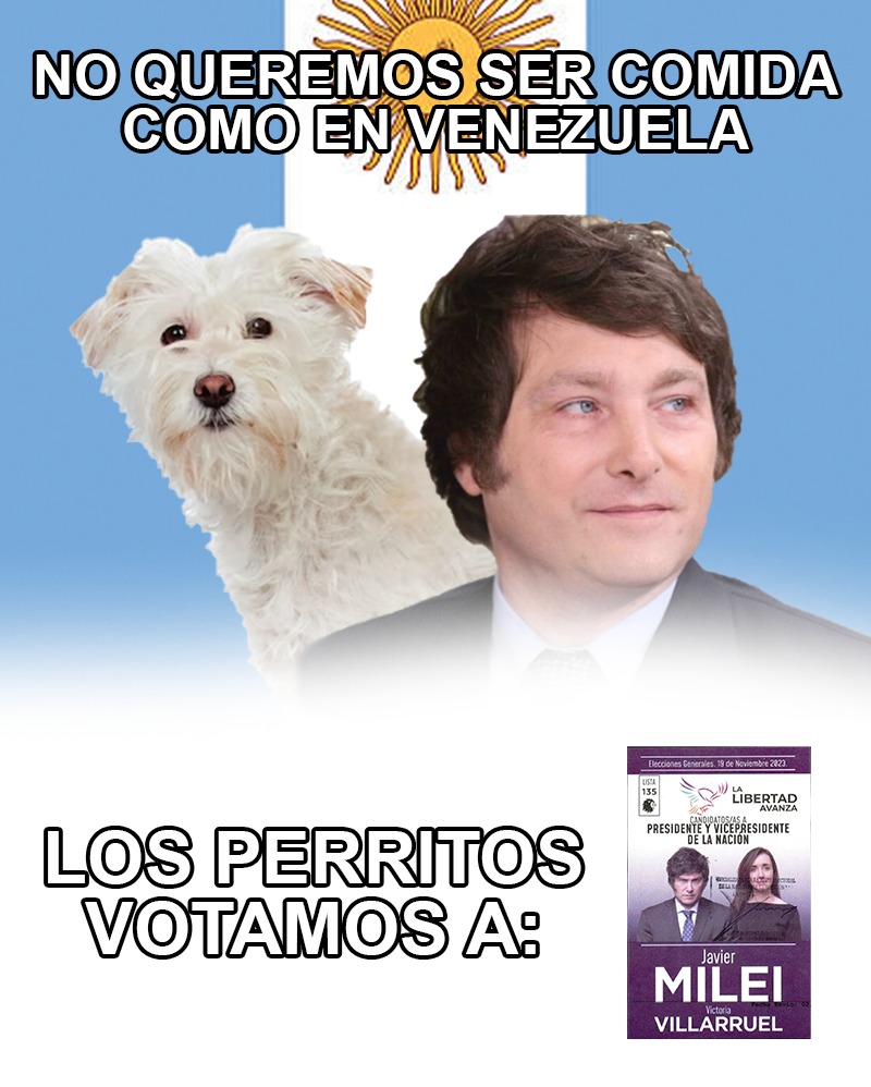 usdtermo's tweet photo. ABRO MEGA HILO DE SUS MASCOTAS QUE VOTARÍAN AL PELUCA https://t.co/QQ9FSpPECP