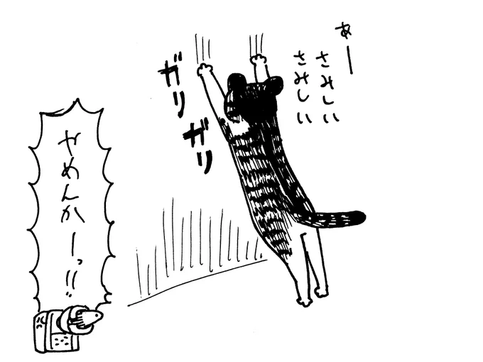 11/17 オカンが旅行に行ったので寂しいアピールをするデンちゃん